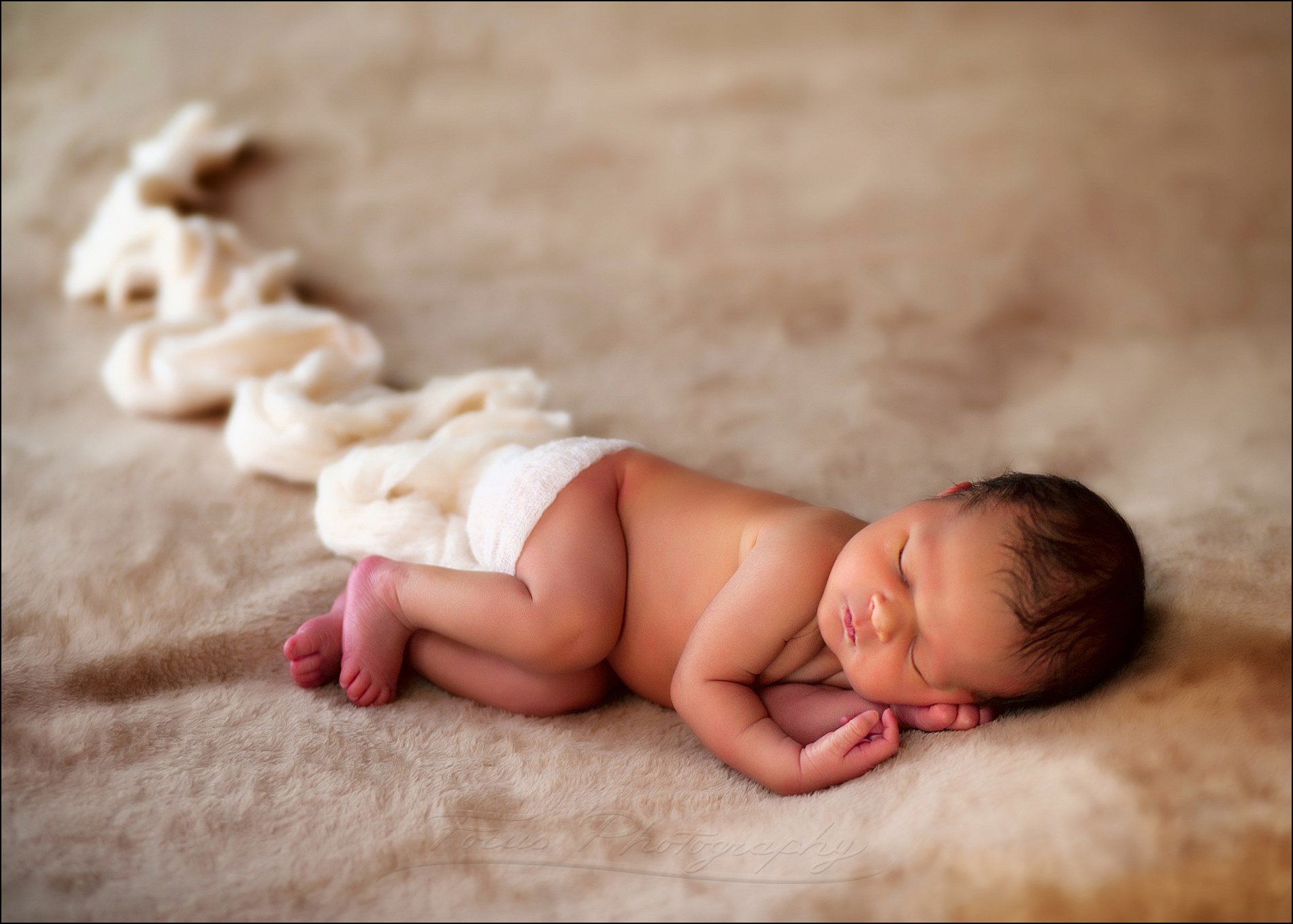studio portrait photography of naked newborn baby