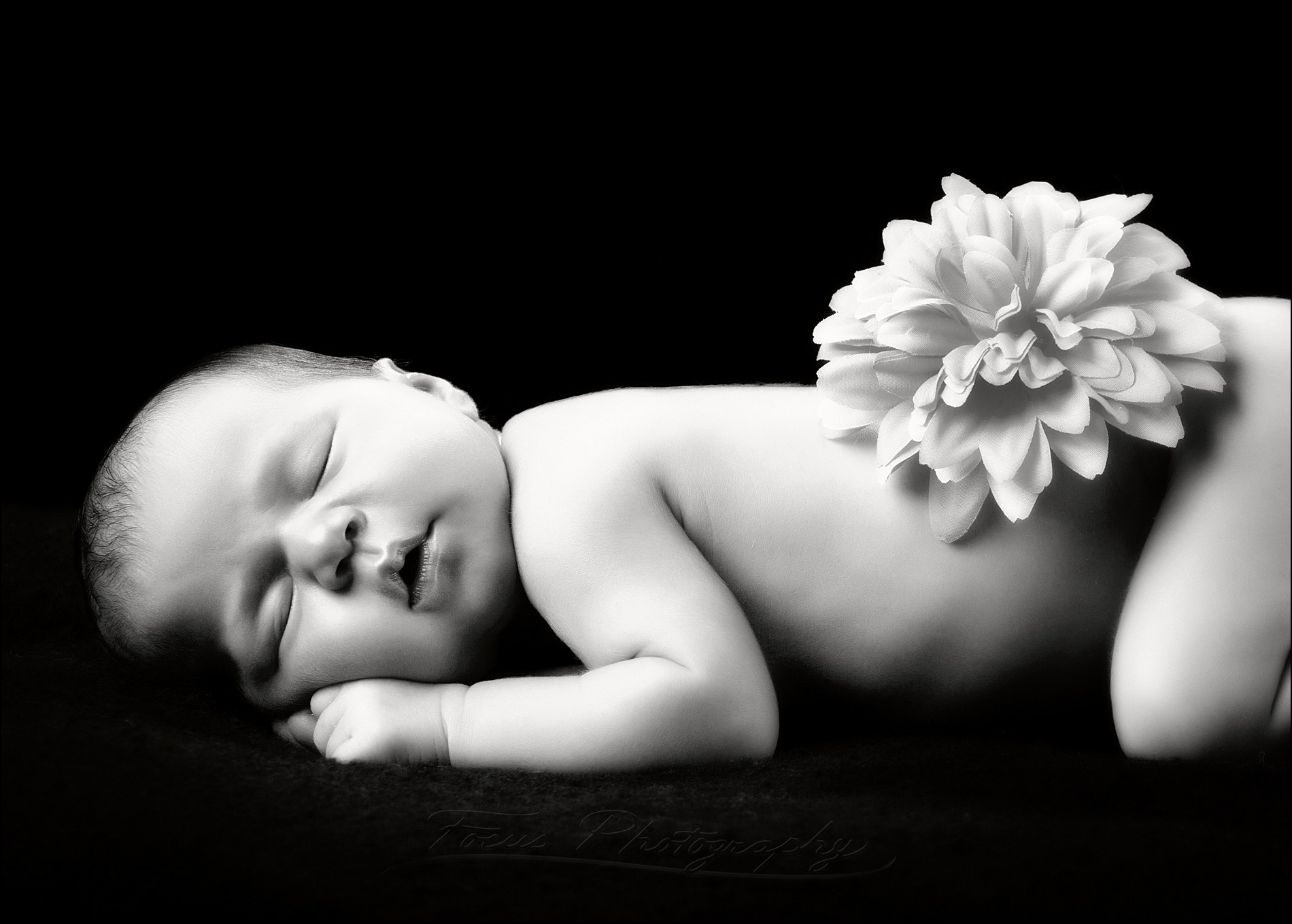 black and white photo of newborn with flower on dark cloth