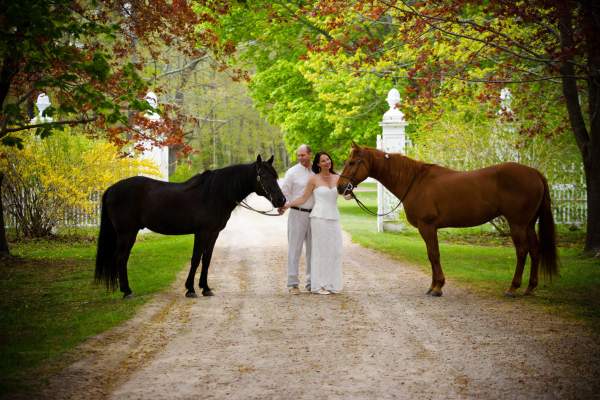 couple with horses for anniversary photo