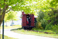 The Narrow Gauge Railroad approaches the Ceremony at Fish Point