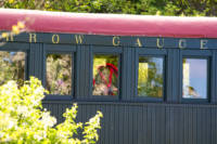 Bridesmaid looking out the train window at ceremony.