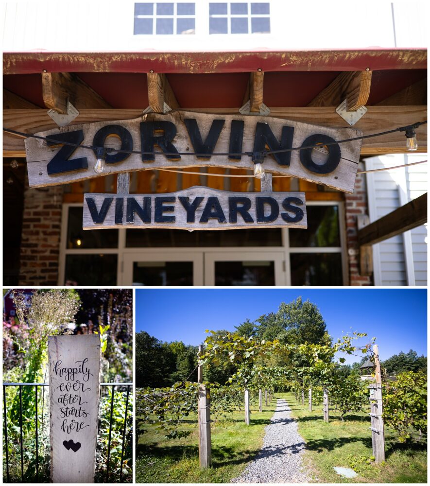 the grapes and tasting room at zorvino vineyard