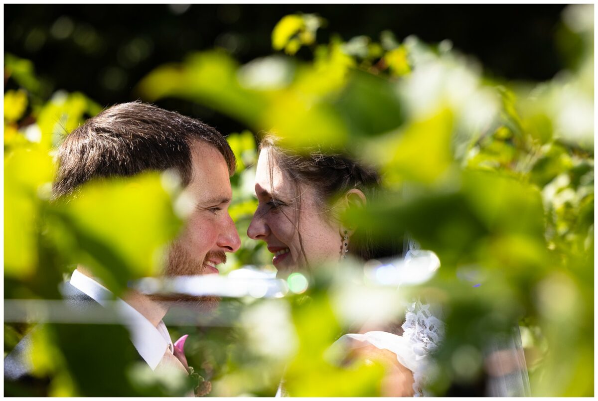 wedding couple through the vines