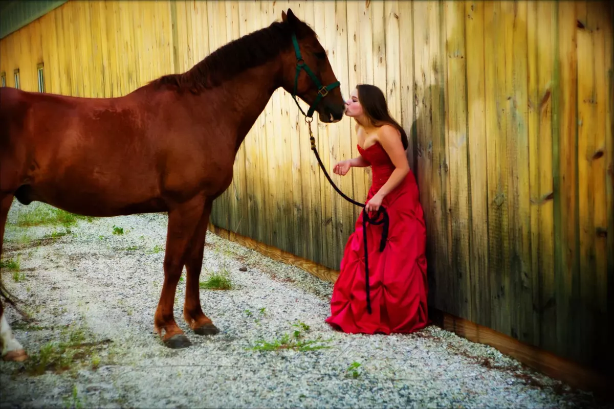 girl in prom dress with her horse at barn for senior pictures in maine