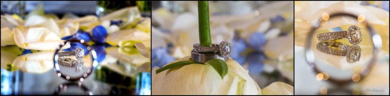 wedding bands on flowers