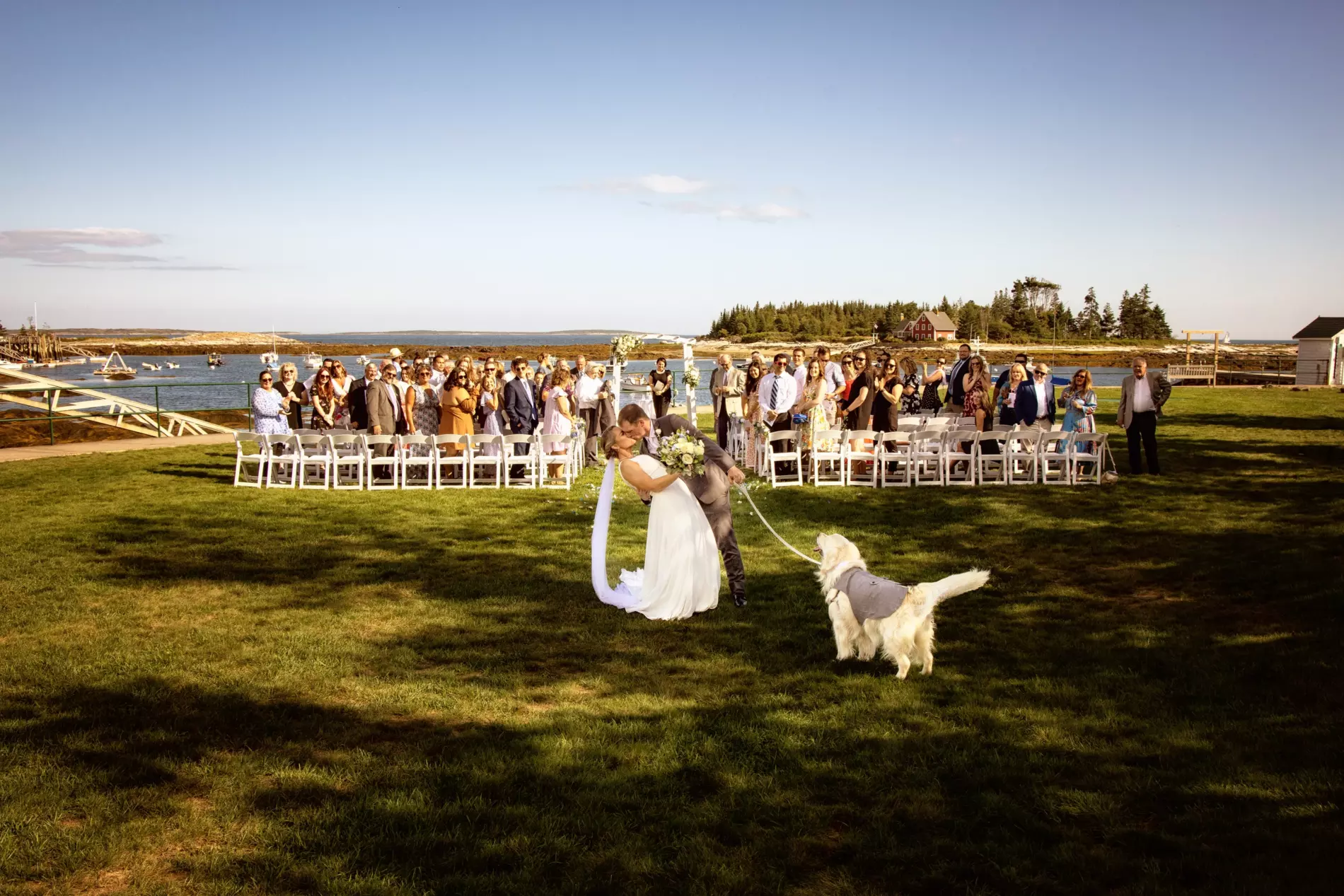 wedding pictures of couple at ceremony with dog