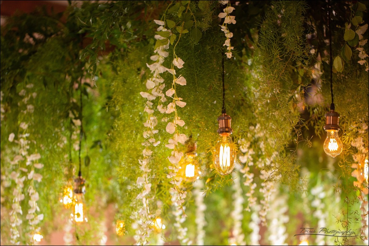 hanging plants and lights